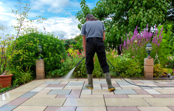 Animal Enclosure Cleaning in Wilson, AR