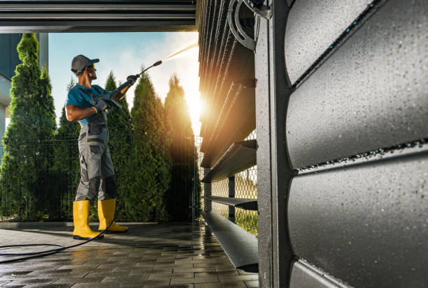 Best Sidewalk and Walkway Cleaning  in Wilson, AR